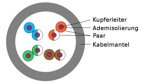 Wirewin Patchkabel - UTP-Patchkabel der Kategorie 6-a