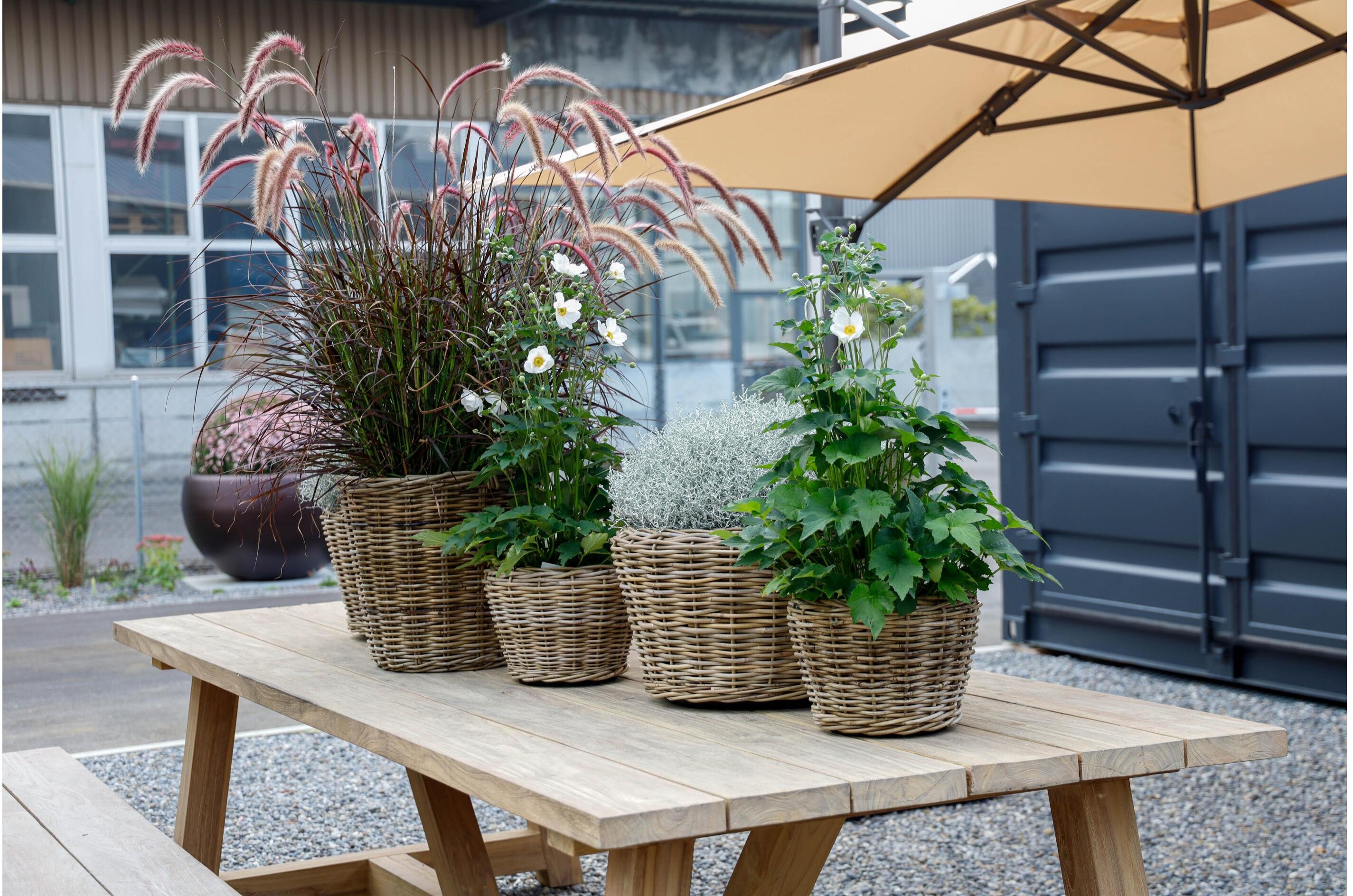 Pflanzentopf Rattan Korb rund