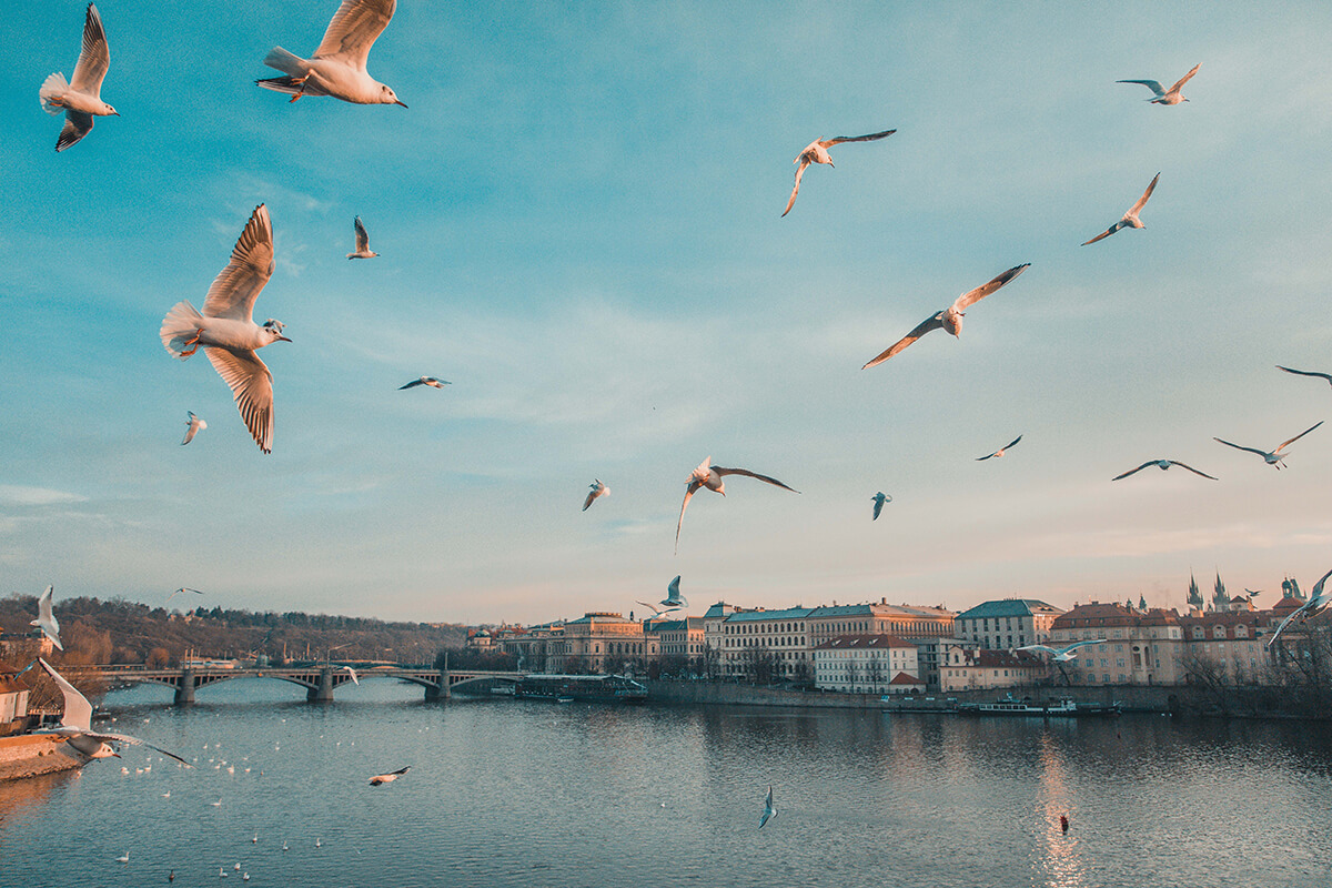 Kendo UI for jQuery SkeletonContainer Prague