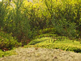 Kendo UI for jQuery Sortable Forest Path